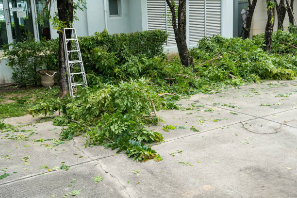 Best Emergency Tree Removal  in Twin City, GA